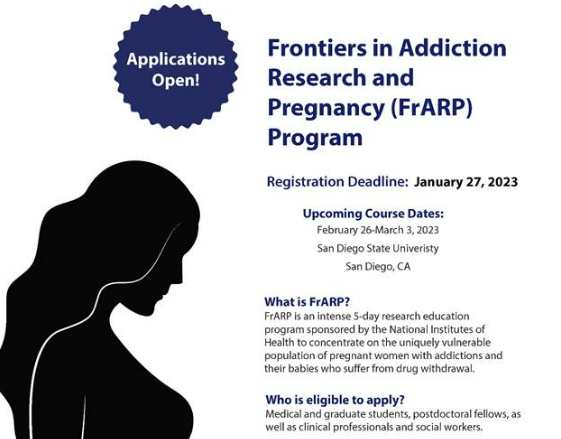 Frontiers in Addiction Research and Pregnancy